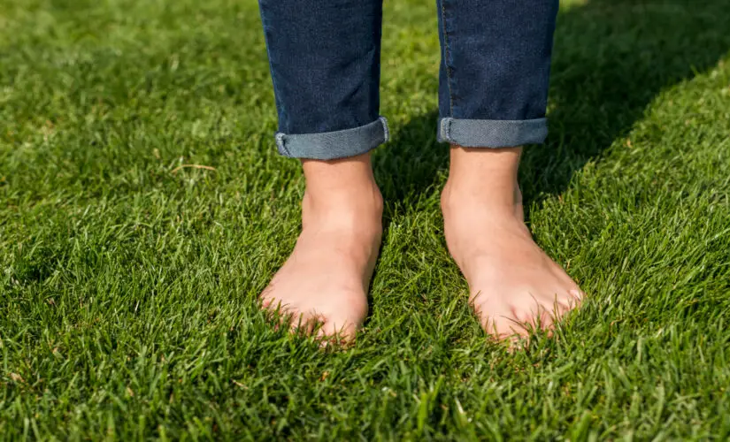 Poderoso Anti-inflamatório que você pode ter no seu Jardim