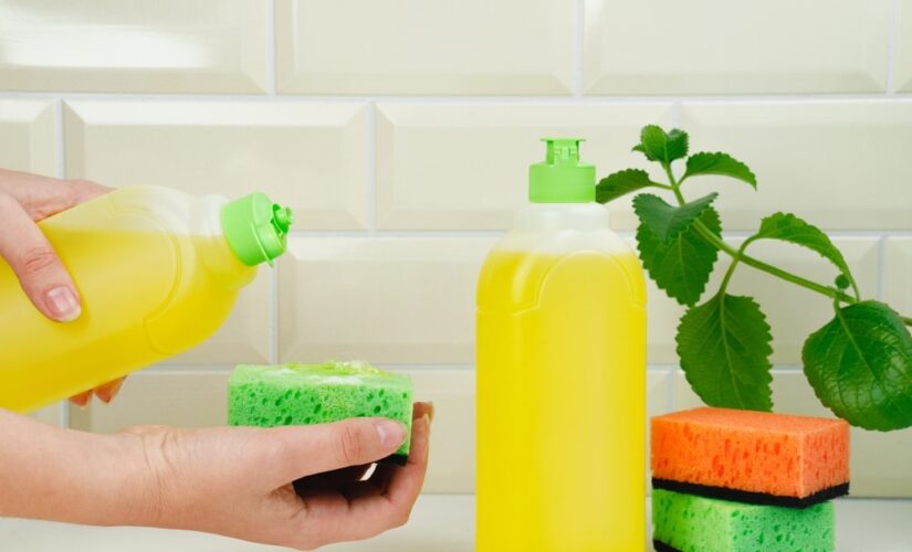 Detergente de Cozinha Eco-friendly: Limpeza Natural e Sustentável