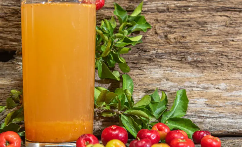 Suco de Acerola para Aumentar a Imunidade e Como Consumir da Maneira Certa