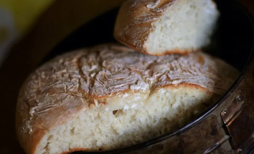 Receita de Bolo de Farinha de Trigo para Iniciantes