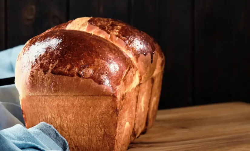 Pão de Liquidificador é uma Receita Econômica e Muito Fofinha