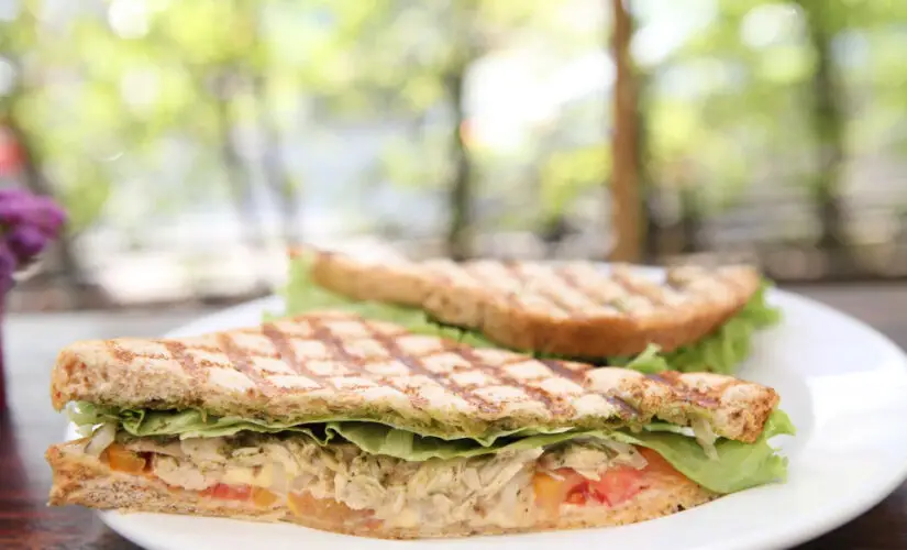 Receita de Sanduíche Natural de Frango Leve e Saboroso
