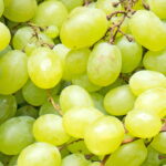 Dicas Práticas para Plantar Uva Verde e Ter uma Colheita Saborosa