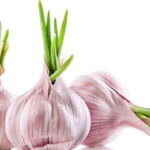 Dicas Práticas para Plantar Alho em Casa e Garantir uma Colheita Perfeita