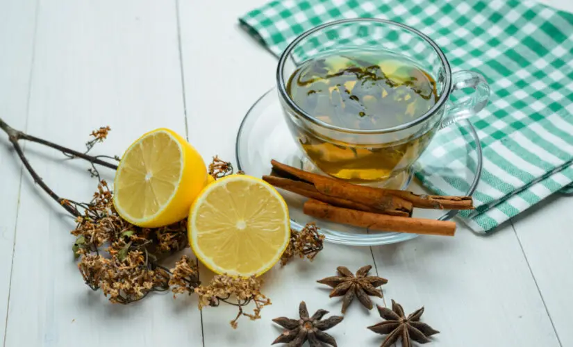 Chá de Orégano uma Bebida Natural e Cheia de Benefícios