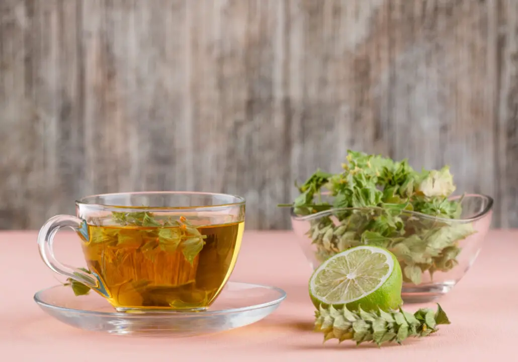 Chá de Orégano uma Bebida Natural e Cheia de Benefícios