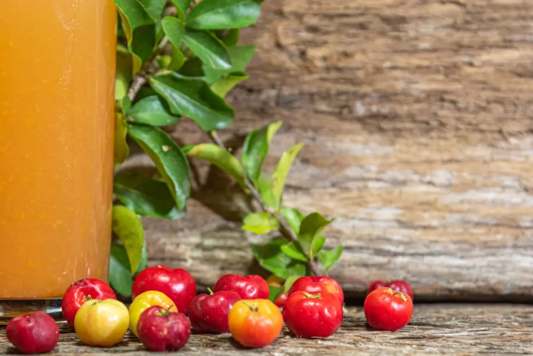 Como Fazer Suco de Acerola em Casa em 10 Minutos!