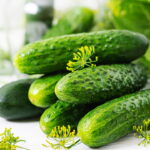 Plantar Pepino - Créditos: depositphotos.com / kzwwsko