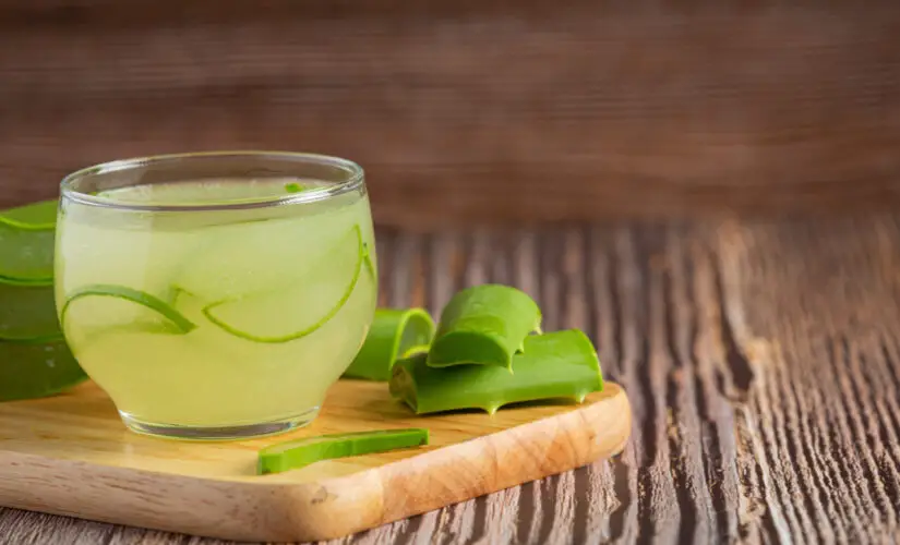 Suco de Babosa uma Bebida Refrescante Nutritiva e Cheia de Benefícios