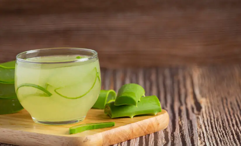 Suco de Babosa uma Bebida Refrescante Nutritiva e Cheia de Benefícios