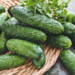 Plantar Pepino - Créditos: depositphotos.com / kzwwsko
