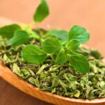 Como Plantar Orégano e Ter um Temperinho Sempre Fresco