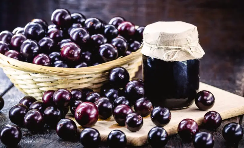 Geleia de Jabuticaba uma Receita Caseira Aromática e Perfeita para Acompanhar Pães e Queijos