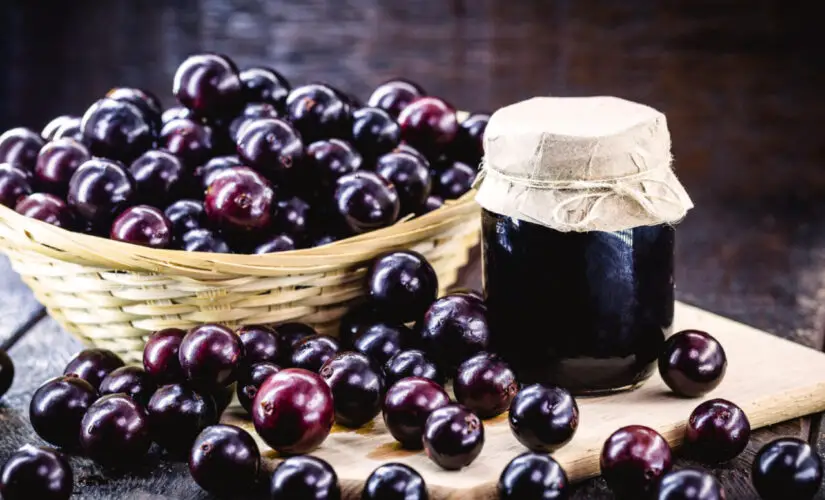 Geleia de Jabuticaba uma Receita Caseira Aromática e Perfeita para Acompanhar Pães e Queijos