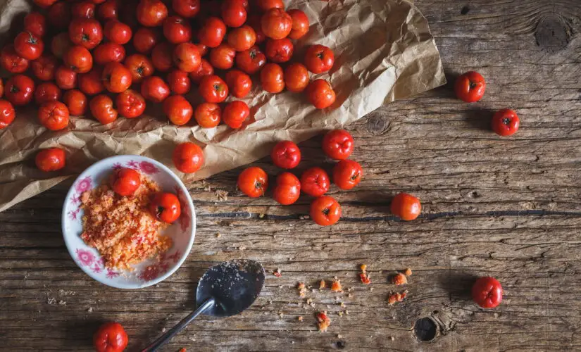 Como Fazer sua Acerola Crescer Melhor e Render Mais na Horta
