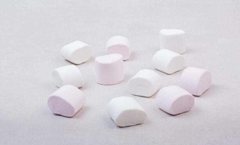 Como fazer marshmallow no palito para festas, lembrancinhas e sobremesas divertidas