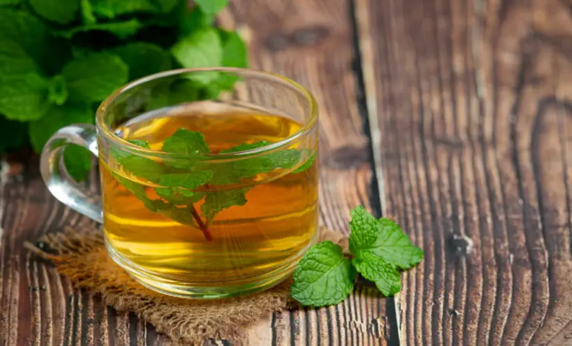 Chá de hortelã com erva-doce calmante, digestivo e cheio de aroma
