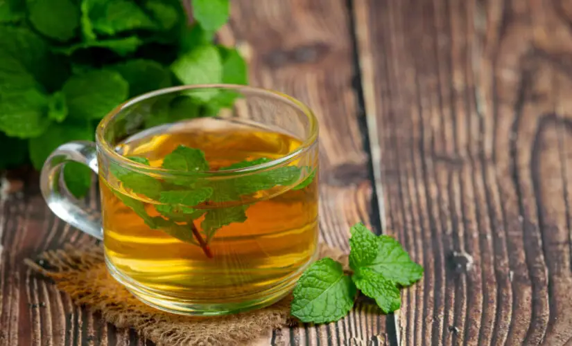 Chá de hortelã com erva-doce calmante, digestivo e cheio de aroma