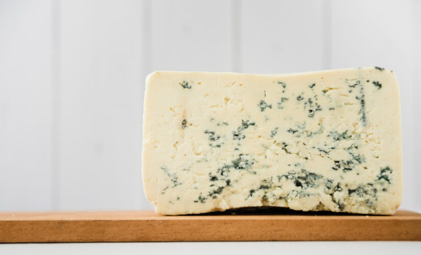 Como fazer queijo gorgonzola artesanal com sabor marcante e textura cremosa