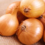 Dicas Práticas para Plantar Cebola em Casa e Garantir uma Colheita Farta