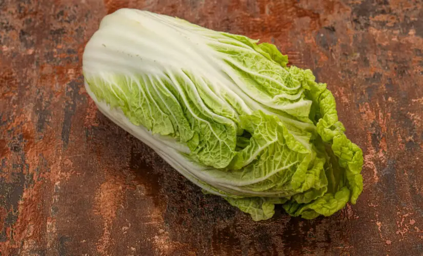 Plantar Couve Chinesa - Freepik