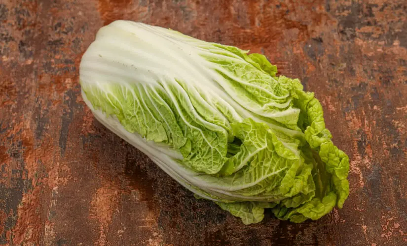 Plantar Couve Chinesa - Freepik