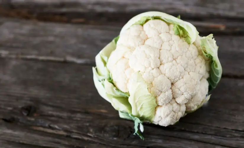 Dicas Infalíveis para Plantar Couve-Flor e Ter uma Horta Saudável