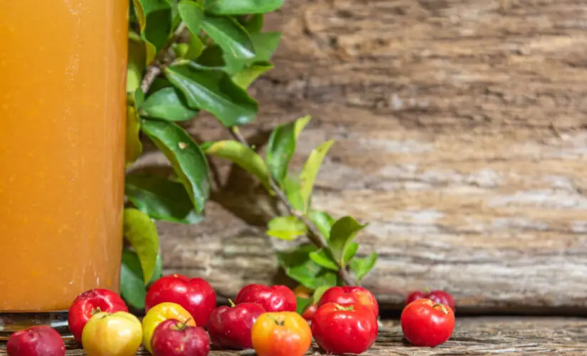 Suco de acerola natural com frescor, vitamina C e aquele sabor azedinho que lembra infância