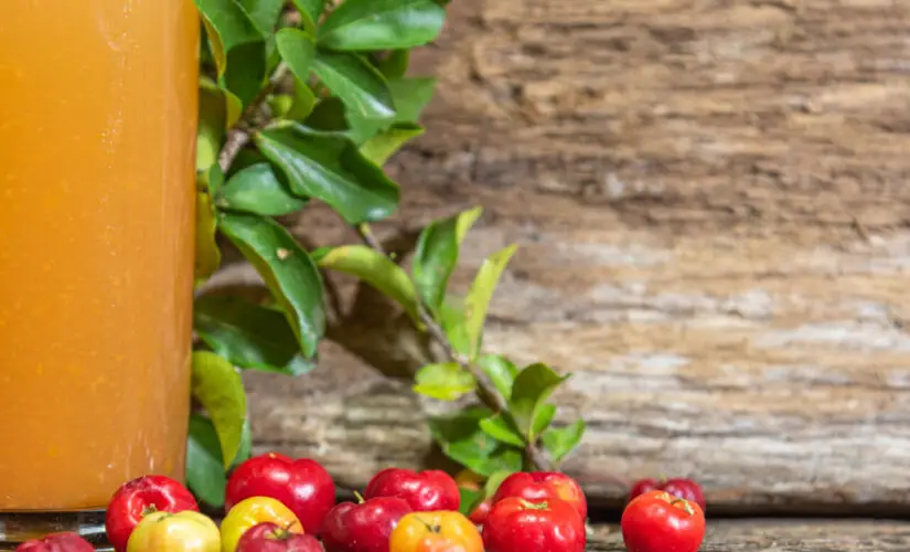 Suco de acerola natural com frescor, vitamina C e aquele sabor azedinho que lembra infância