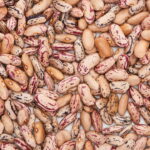 Passo a Passo para um Cultivo de Feijão Simples e Saudável