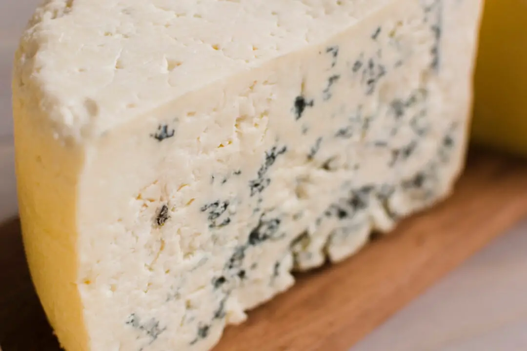 Como fazer queijo gorgonzola artesanal com sabor marcante e textura cremosa