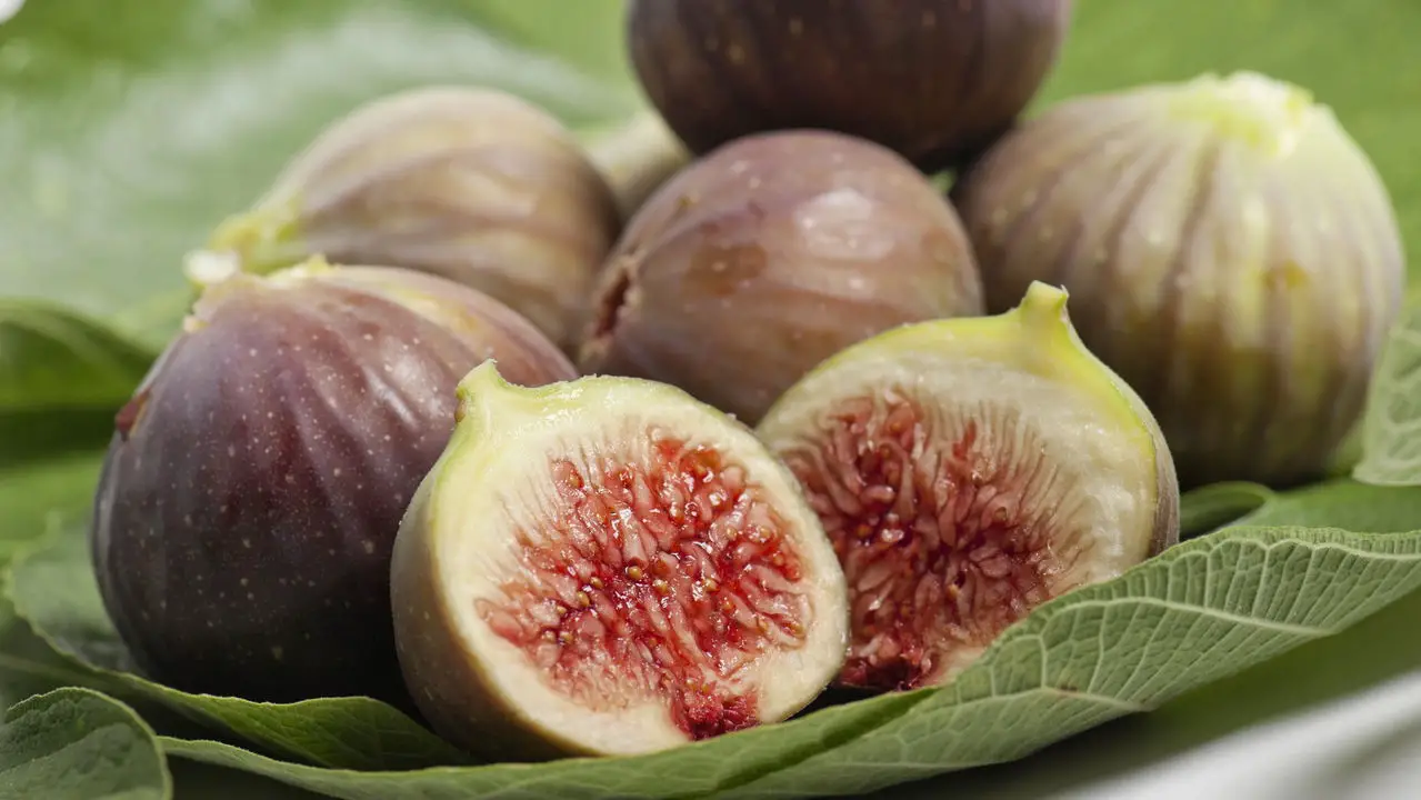 O Segredo para Plantar Figo e Garantir Frutos Suculentos