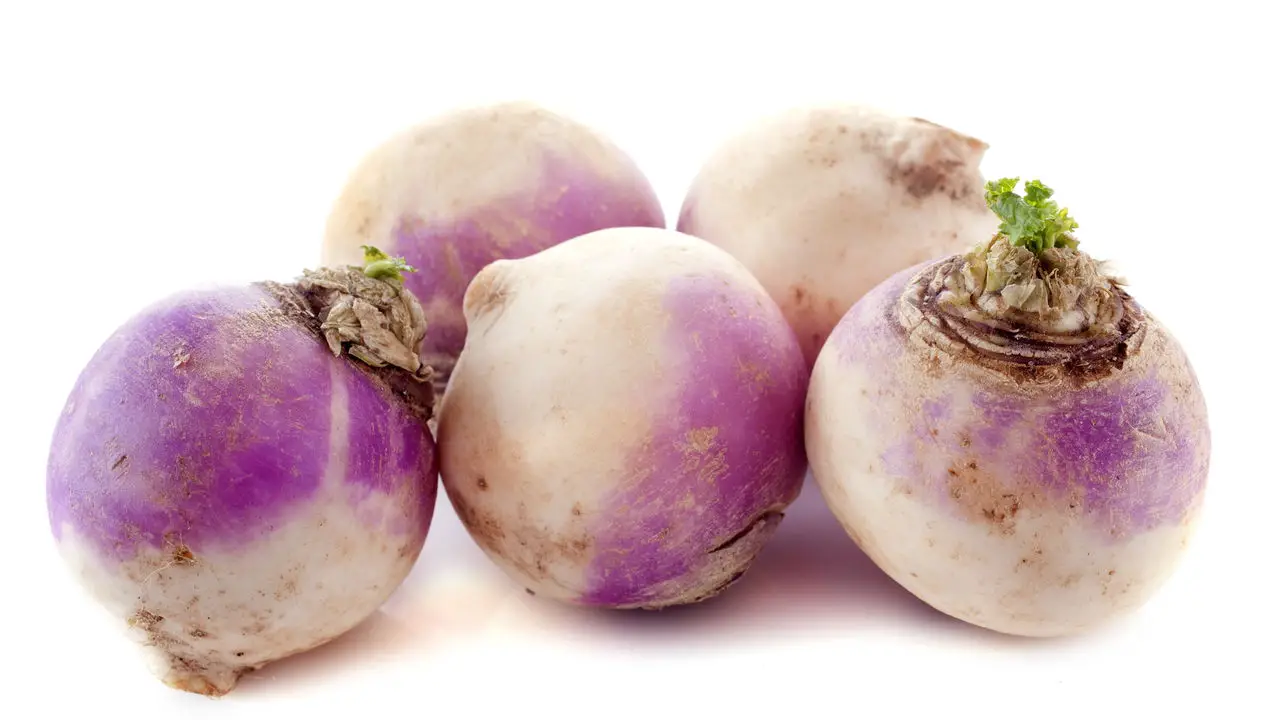 Passo a Passo para um Cultivo de Nabo Rápido e Produtivo