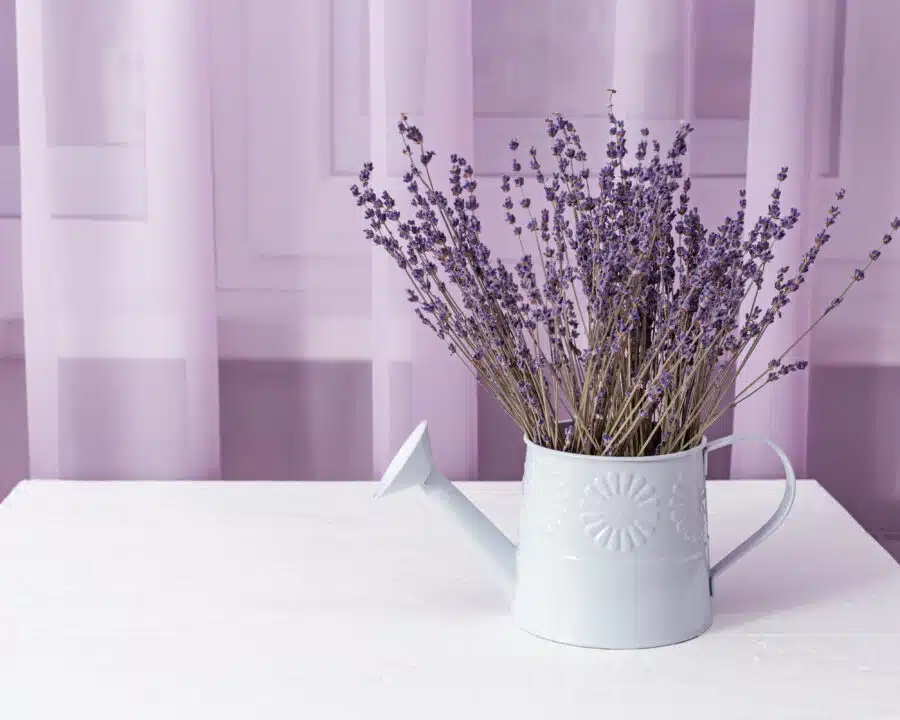 Casa Sempre Perfumada com Lavanda, Olha que Tudo