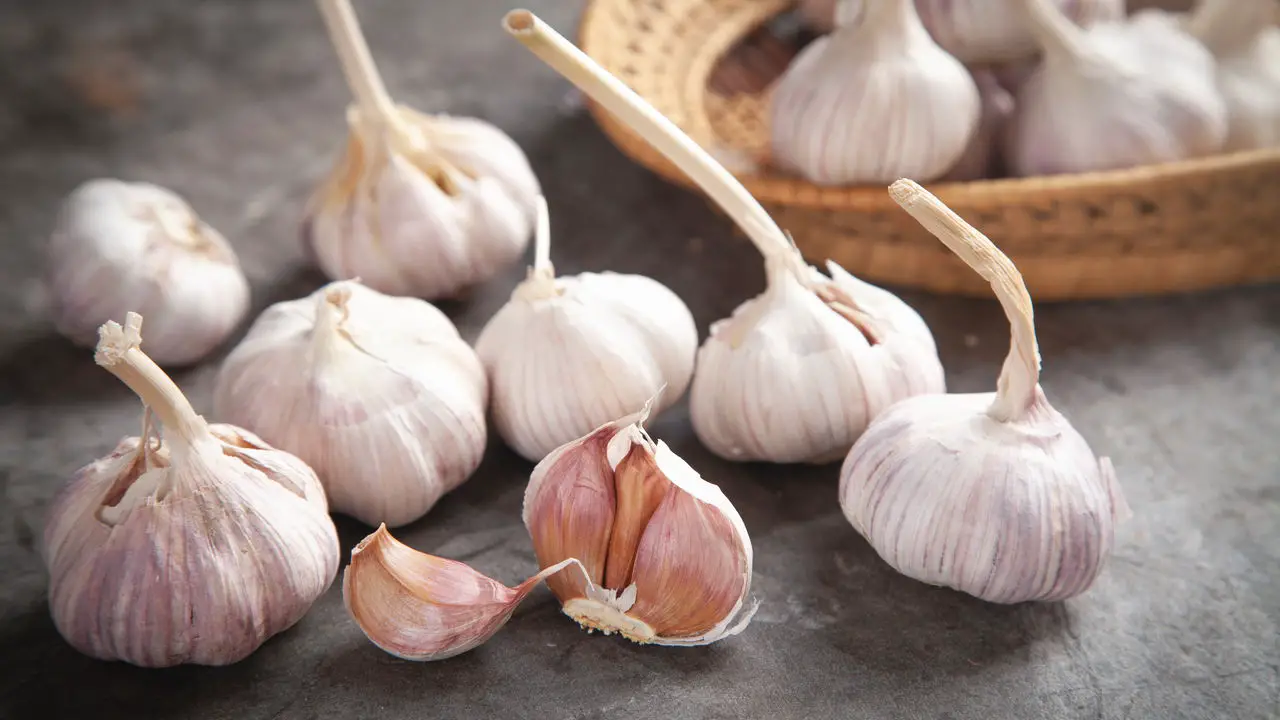 Como Plantar Alho em Casa e Ter um Temperinho Sempre Fresco