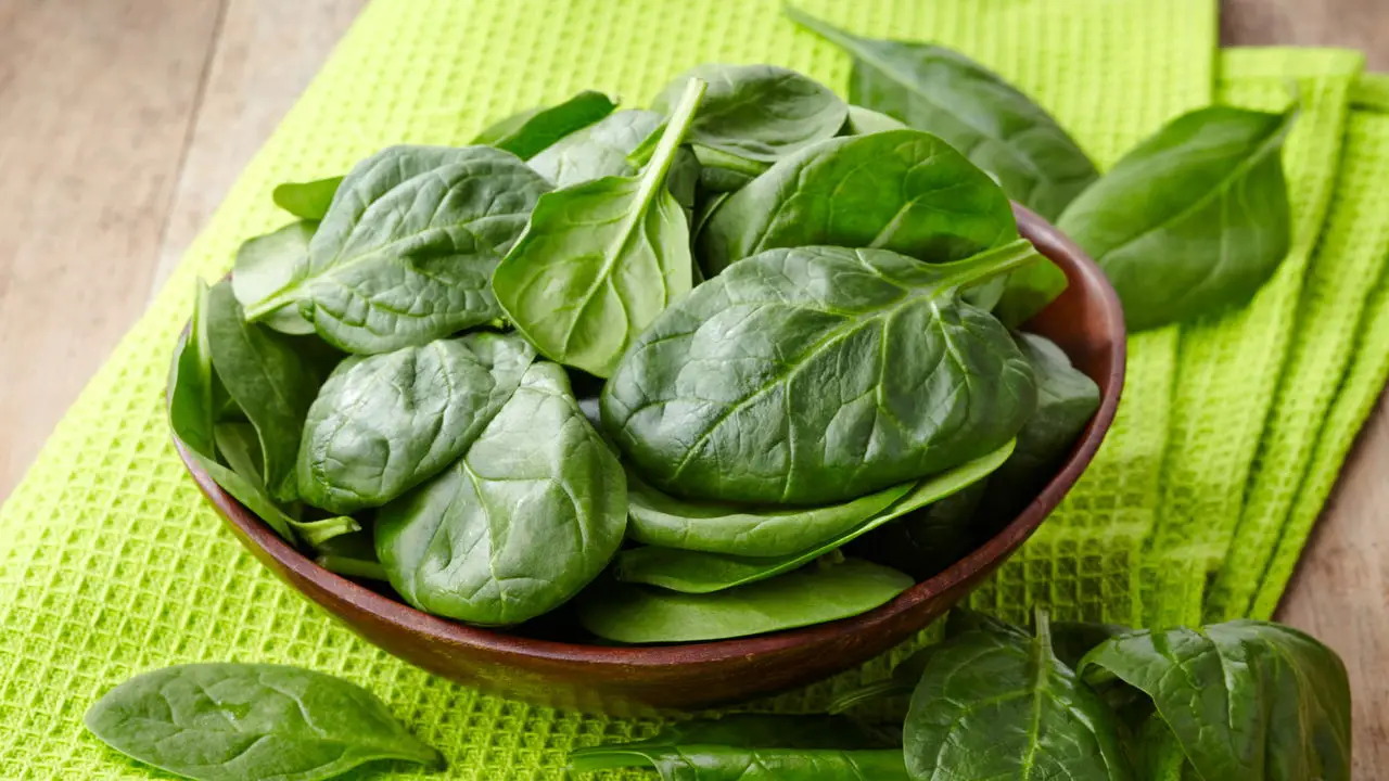 Dicas Infalíveis para Plantar Espinafre e Ter Hortaliças Sempre Frescas