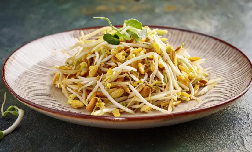 Broto de soja crocante e nutritivo para receitas leves e cheias de frescor