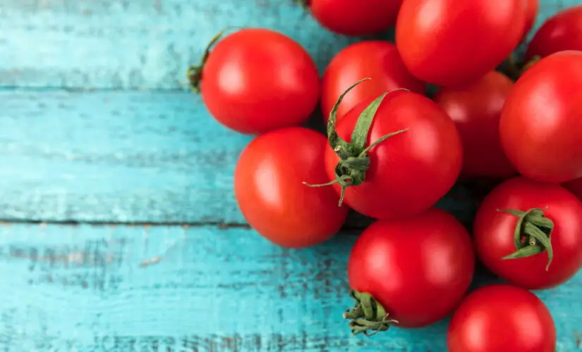 Dicas Infalíveis para Plantar Tomate Cereja e Ter Frutas Sempre