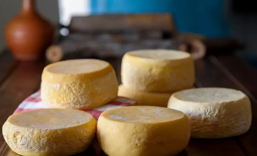 Como fazer queijo com leite de vaca caseiro, fresco e com sabor de fazenda
