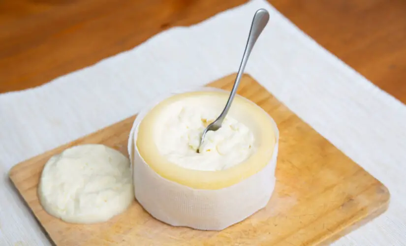 Catupiry requeijão cremoso e caseiro com sabor de lanchonete