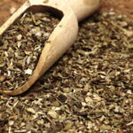 Como Plantar Orégano e Ter um Temperinho Sempre Fresco