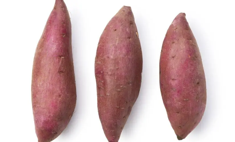 O Segredo para Plantar Batata Doce e Ter Raízes Sempre Grandes