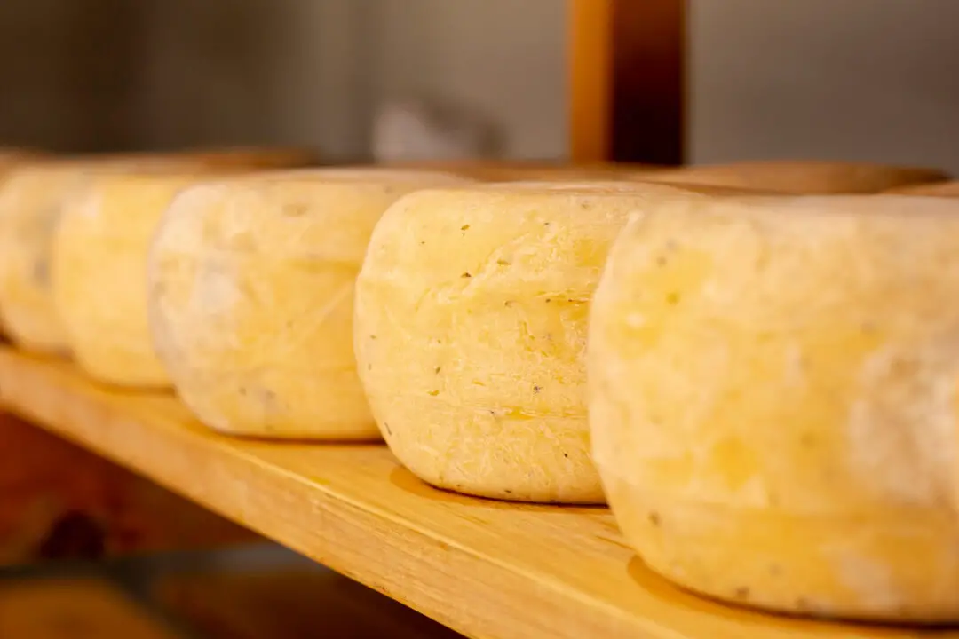 Como fazer queijo com leite de vaca caseiro, fresco e com sabor de fazenda