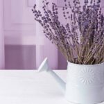 Casa Sempre Perfumada com Lavanda, Olha que Tudo