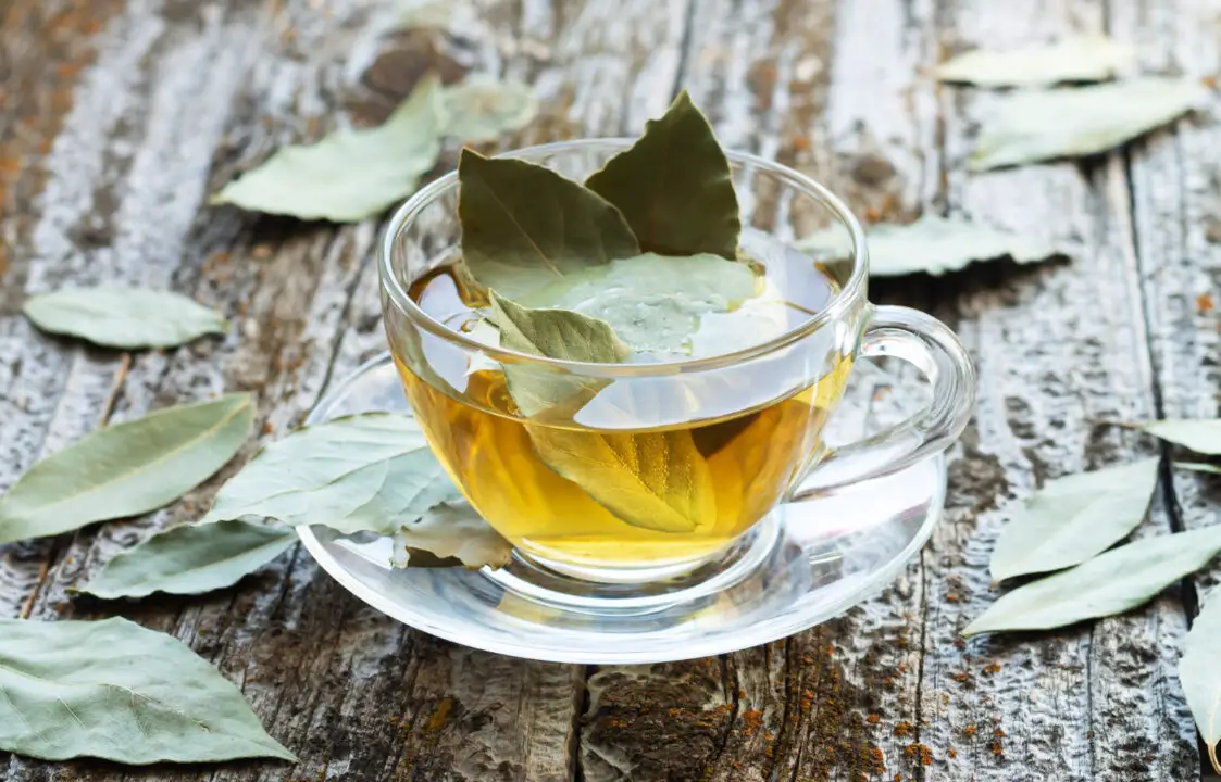 Chá de Louro uma Receita Natural Aromática e Cheia de Benefícios
