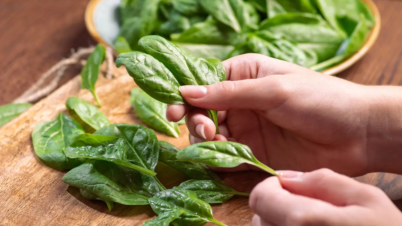 Dicas Infalíveis para Plantar Espinafre e Ter Hortaliças Sempre Frescas