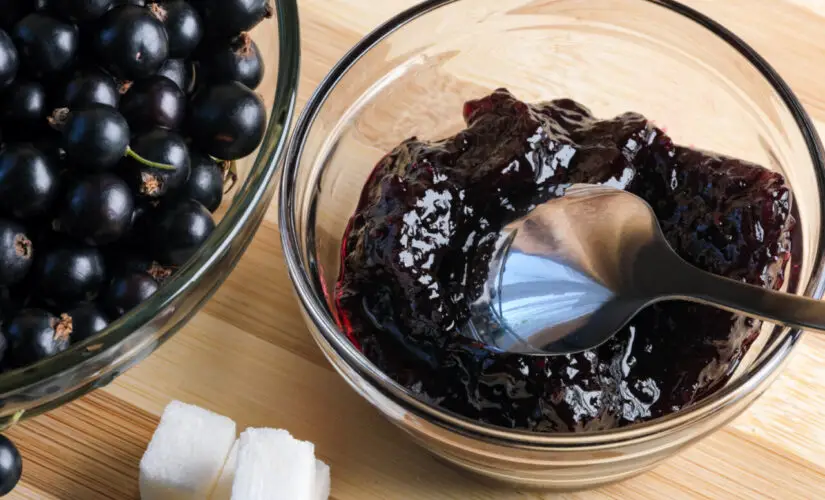 Receita de Geleia de Jabuticaba para Relembrar Sabor de Infância no Interior