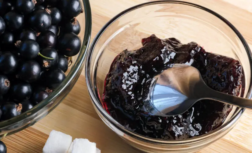 Receita de Geleia de Jabuticaba para Relembrar Sabor de Infância no Interior