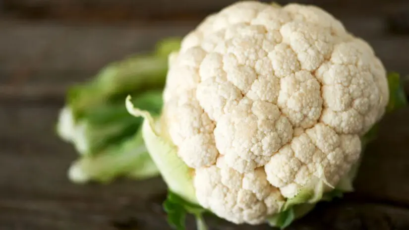 Dicas Infalíveis para Plantar Couve-Flor e Ter uma Horta Saudável