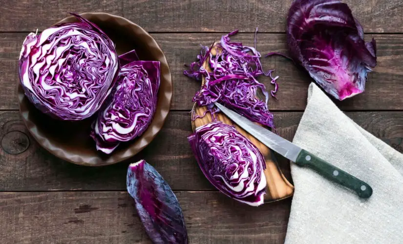 Como Plantar Repolho Roxo em Vasos e Ter Hortaliças Sempre à Mão